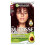 Garnier Garnier Nutrisse Creme Permanent Colour 3.6 Deep Reddish Brown (3 PACKS) 1