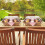 1Pc Simulated Rattan Bread Basket with Lid Rustic Storage for Serving 4