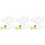 12Pcs High Grade White Vegetable and Fruit Molds for Baking Garden Use 4