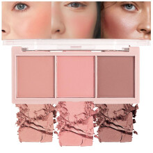 3 in 1 Highlighter Contour Bronzer Palette, LongLasting Waterproof Matte Face Makeup Kit 01#
