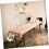 Adjustable Aluminum Alloy Massage Table Headrest and Face Cradle with Ergonomic Support 4