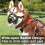 Adjustable Dog Muzzle For Unmatched Comfort And Security 8