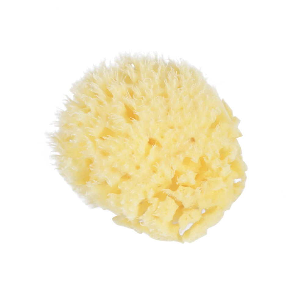 Natural Honeycomb Bath Sponge for Adults Gentle Exfoliation Chemical Body Care for Sensitive Skin