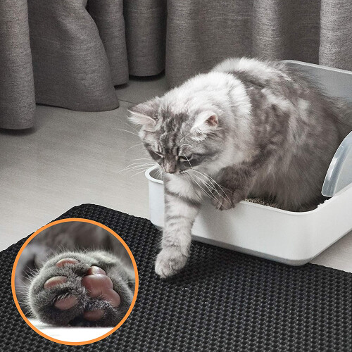 Χαλί άμμου για γάτες Feline Oasis, εύκολο καθάρισμα, γρήγορο στέγνωμα, μαλακό EVA για την 2