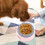 Pet Travel Essentials: Floating Disk Water Feeder, Compact Size, With Reversible Grooves 4