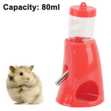 Pet Feeding Solution, Practical Design Simplifies Care, Ideal For Every Small Pet Owner