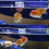 Fish Feeder Solution, Aquarium Cleaner Keeper, Securely Mounted, Ideal For Red Worms And Shrimp 5