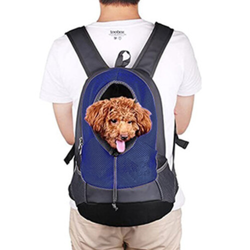 Σακίδιο πλάτης Puppy Explorer, αναπνεύσιμος μεταφορέας σκύλου με ρυθμιζόμενο παράθυρο 2