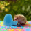 Pet Water Fountain Automatic Feeding System For Healthy Usage Mini Sized 4