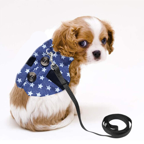 Chaleco elegante para mascotas, cómodo y transpirable, con ajuste tipo traje formal. 2
