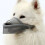 Comfortable Material Breathable Mesh Dog Muzzle, Ergonomic Design Anti-Biting Muzzle for Long Snout Dogs, Secure Muzzle for Extra Protection & Com 4
