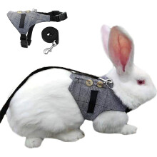 Colete estilo terno formal para coelhos, arnês macio com decoração de botões vintage, ideal para ocasiões especiais.