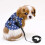 Chaleco elegante para mascotas, cómodo y transpirable, con ajuste tipo traje formal. 3