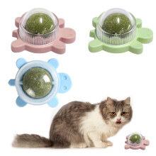 Bio-Ball für Katzenwohlbefinden, Kauspielzeug für die Magen-Darm-Gesundheit, interaktives Katzenspielzeug mit niedlichen Designs, Wandmontierte