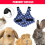 Chaleco elegante para mascotas, cómodo y transpirable, con ajuste tipo traje formal. 6