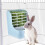 PetFeast Rabbit Feeder, Battery-Free Operation Compact Size, Bite-Resistant Edge With Gravity Flow Water Bottle 3