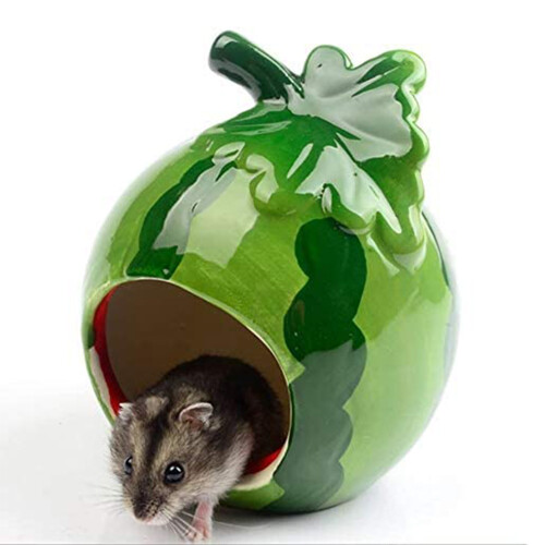 Quality Ceramic Materials Ceramic Hamster Hideout, Perfect Fruit Design, Cooling Function, Adorable Design for Small Pets 1