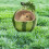 Quality Ceramic Materials Ceramic Hamster Hideout, Perfect Fruit Design, Cooling Function, Adorable Design for Small Pets 4