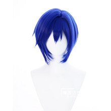 Cosplay Wig Heat Resistant Synthetic Hair for Anime Character Halloween Costume with Wig Cap