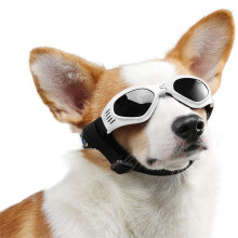 Amélioration de l'équipement pour animaux de compagnie : harnais anti-traction pour chien avec protection en silicone non irritante et sangle
