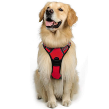 Coleira peitoral ajustável para cães, acolchoada e confortável em malha para uso durante todo o dia, com fixação firme, fechos reforçados,