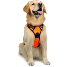 Colete para cães com forro de malha respirável, alças refletoras para visibilidade noturna, colete ajustável para animais de estimação com