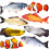 Peixe Elétrico que se Debate, 26,7 cm (10,5"), Brinquedo de Peixe para Gatos e Cães 2