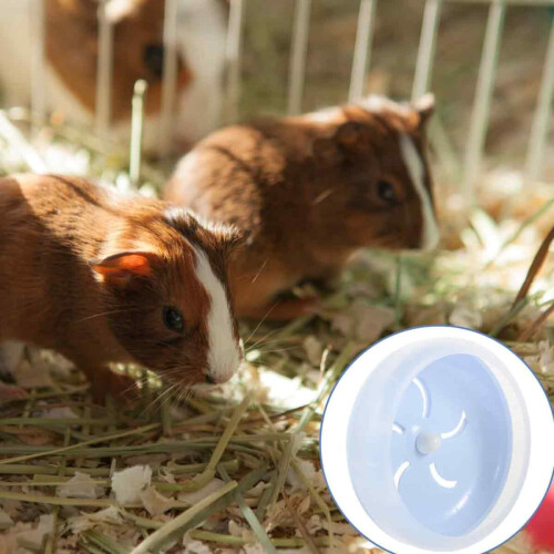 Εξαιρετικά αθόρυβος τροχός τρεξίματος Blue Hamster, ενθαρρύνει την υγιή άσκηση με 2