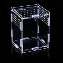 Micro terrario per ragni, contenitore trasparente con chiusura magnetica, casa in acrilico per ragni, scorpioni e insetti.