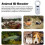 OLED Pet Microchip Reader, Innovative Solution for Comprehensive Pet Management 5