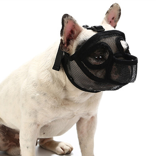 Κοντό ρύγχος για σκύλους, αναπνεύσιμη κατασκευή από πλέγμα που εξασφαλίζει 1