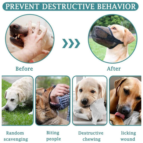 Pet Protector, Breathable Drinkable Mesh Dog Muzzle for Small, Medium, Large Dogs, Anti Biting Barking Chewing, Adjustable Loop for Secure Fit, Soft A 1