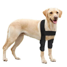 Ο καλύτερος φίλος του σκύλου, υποστήριξη αγκώνα για κατοικίδια που υποφέρουν από