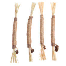 Chew Sticks, Kitten Teething Cleaning Teeth Chew Catnip Chew Toys for Indoor Cat Teeth Cleaning Kitten Teething and Stress Release