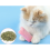 Δελεαστικό παιχνίδι για γάτες με Catnip, ανθεκτικό στη μάσημα, διεγείρει το πνεύμα 4
