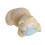 Accessoire de cheveux de chat à la-Le chaton mange du poisson 5