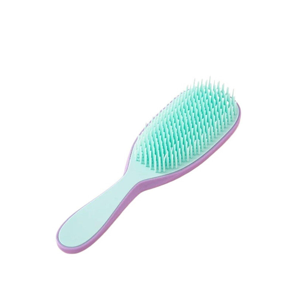 Unisex Green,Purple Detangling Hair Comb With Gentle Scalp Massage For Wet And Dry Hair, Purple Green