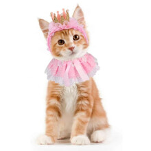 Verjaardagsoutfit voor huisdieren, uniek ontwerp en comfortabel materiaal, verstelbaar kostuum voor katten en honden, prinsessenkostuum, perfect voor
