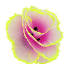 Simulation Coral Decoration for Fish Tank, Fluorescent Purple Silicone Plant