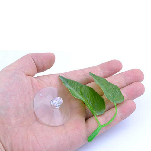 Χαλί Betta Hammock Leaf, διακοσμητικό ενυδρείου που λειτουργεί και ως κρυψώνας με βάση 1