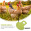 2Pcs Hen Protector Cotton Apron with Elastic Belt for Chicken 11