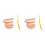 2Sets Teeth Study ABS Plastic Assorted Colors 4