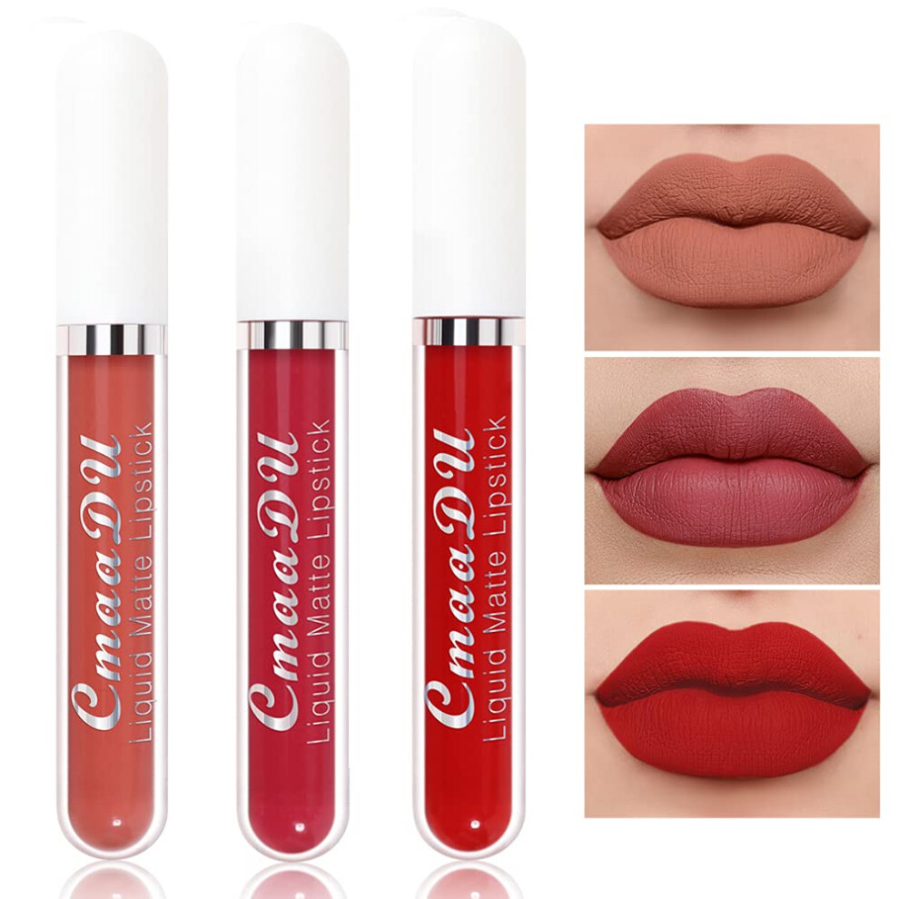 Liquid Lipstick Set with Long Lasting Velvet Matte Finish,  Pigment NonTransfer Formula, Set #11
