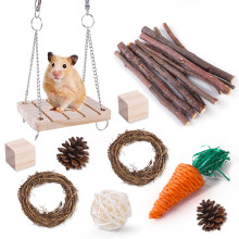 Ensemble de jouets à mâcher pour hamsters, accessoires de soin des dents en bois, outils molaires durables, écologiques et résistants aux