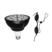 Nabij-infrarood lichtapparaat, niet-invasieve pijnverlichting met klinisch gecertificeerde LED-technologie, multifunctioneel gebruik voor thuis en op