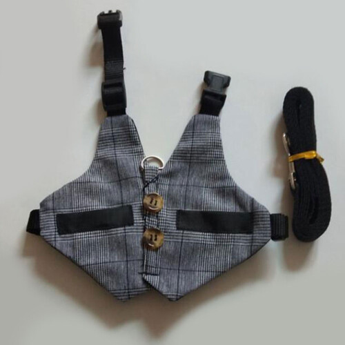 Coleira elástica para coelho, elegante e sofisticada, com design xadrez e listrado, ajustável e feita em algodão de alta qualidade. 1