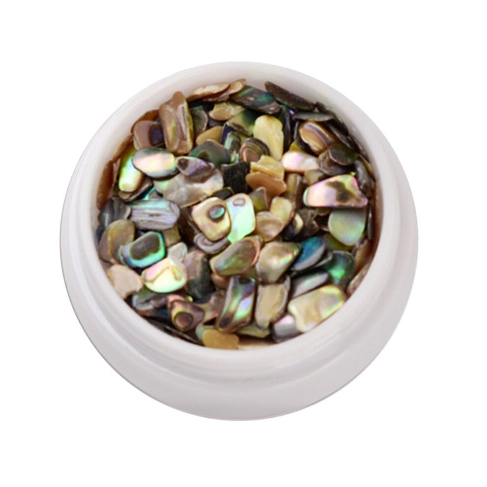 Natural Abalone Shell Nail Art Decoration Slices 3D Shell Stone Charms for Manicure