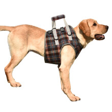 Harnais de levage pour chien, idéal pour la rééducation des articulations, le soutien arthritique des chiens âgés, avec poignée rembourrée,