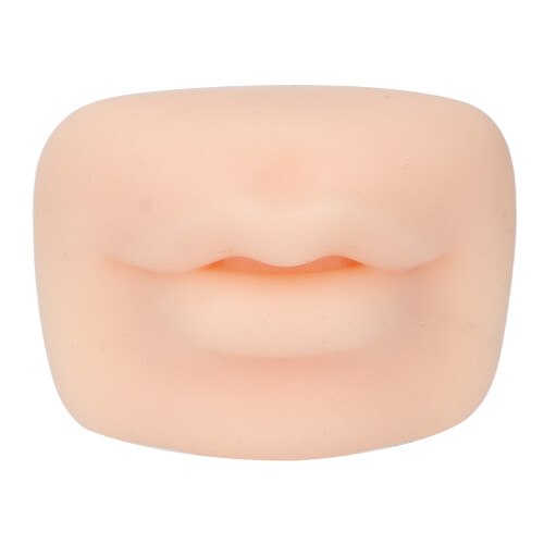 Lip Practice Silikonmodell 3D Semi-Permanent Microblading & Piercing Übung 1