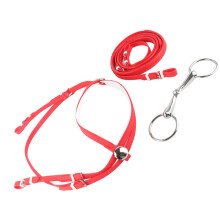 PVC Adjustable Horse Bridle with Removable Stainless Steel Snaffle Headstall Red